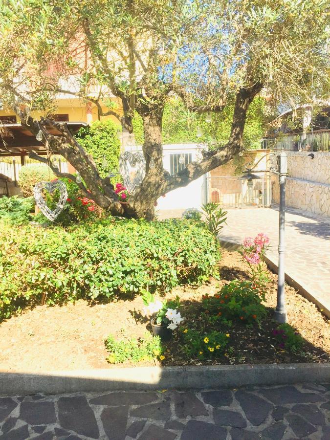 B&B Il Piu Bello ซานซัลโว ภายนอก รูปภาพ